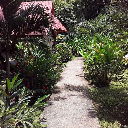 Villa Sevilla Big Creek Exterior foto