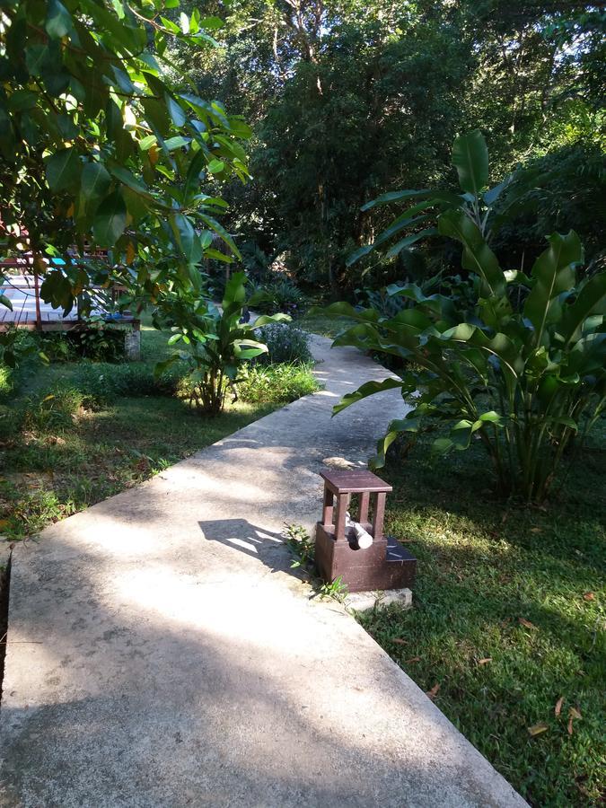 Villa Sevilla Big Creek Exterior foto