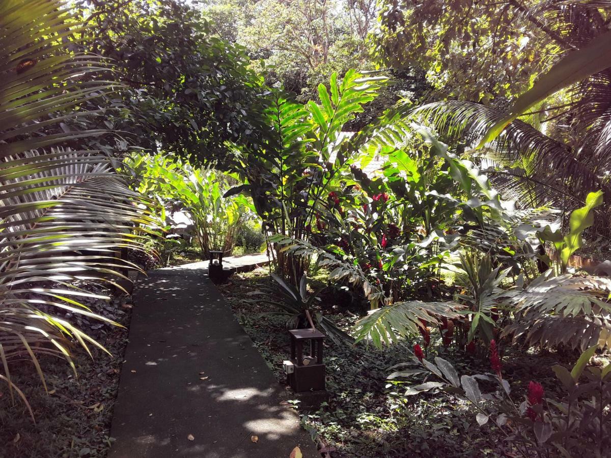 Villa Sevilla Big Creek Exterior foto