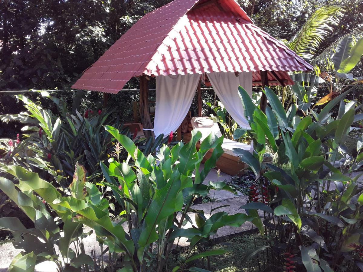 Villa Sevilla Big Creek Exterior foto