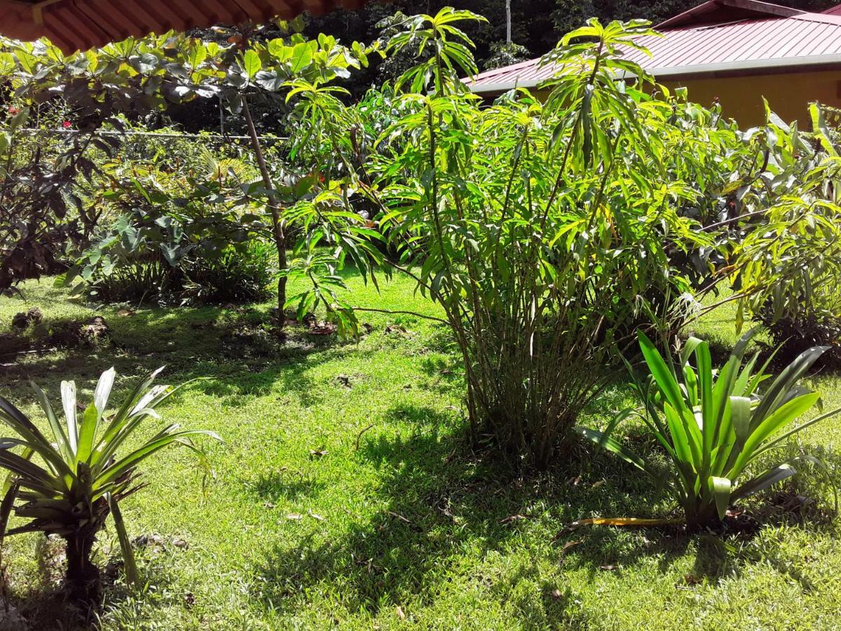 Villa Sevilla Big Creek Exterior foto