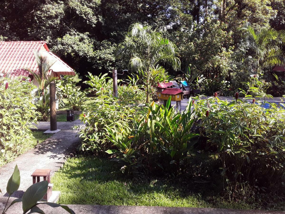 Villa Sevilla Big Creek Exterior foto